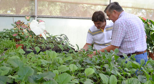 Zdero recorri la Escuela de Jardiner a EsChaco