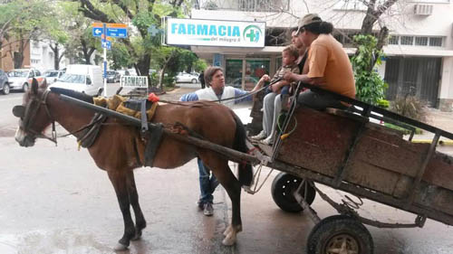 Vecino del centro fue descubierto entregando residuos a un carro