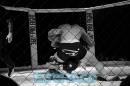 360 Pro Fight 2.- Corrientes