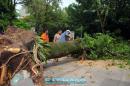 Destrozos del temporal