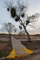 Inauguracin del Paseo del Bicentenario