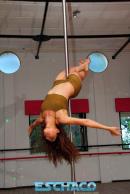 Primer Estudio Especializado de Pole Dance