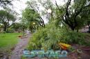 Cola del tornado en Resistencia