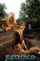 Cola del tornado en Resistencia