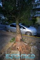 Cola del tornado en Resistencia