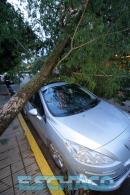 Cola del tornado en Resistencia