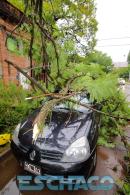 Cola del tornado en Resistencia