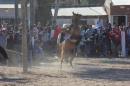 Fiesta campestre por el 106 Aniversario de Puerto Vilelas