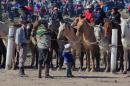 Fiesta campestre por el 106 Aniversario de Puerto Vilelas