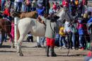 Fiesta campestre por el 106 Aniversario de Puerto Vilelas