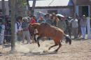 Fiesta campestre por el 106 Aniversario de Puerto Vilelas