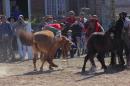 Fiesta campestre por el 106 Aniversario de Puerto Vilelas