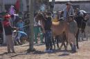 Fiesta campestre por el 106 Aniversario de Puerto Vilelas