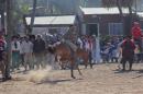 Fiesta campestre por el 106 Aniversario de Puerto Vilelas