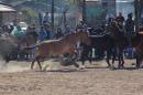 Fiesta campestre por el 106 Aniversario de Puerto Vilelas