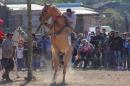 Fiesta campestre por el 106 Aniversario de Puerto Vilelas