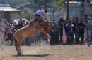 Fiesta campestre por el 106 Aniversario de Puerto Vilelas