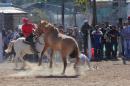 Fiesta campestre por el 106 Aniversario de Puerto Vilelas