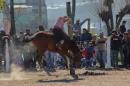 Fiesta campestre por el 106 Aniversario de Puerto Vilelas