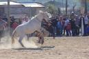 Fiesta campestre por el 106 Aniversario de Puerto Vilelas