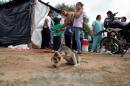 En imgenes, la crecida del Paran en las costas chaqueas