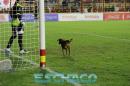 Copa Argentina: Independiente elimin a Boca Unidos