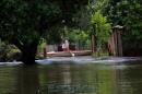 Inundaciones: Rescate animal y asistencia a familias evacuadas