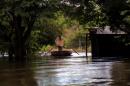 Inundaciones: Rescate animal y asistencia a familias evacuadas