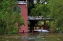 Inundaciones: Rescate animal y asistencia a familias evacuadas