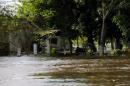 Inundaciones: Rescate animal y asistencia a familias evacuadas