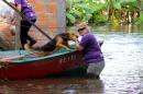 Inundaciones: Rescate animal y asistencia a familias evacuadas