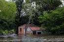 Inundaciones: Rescate animal y asistencia a familias evacuadas