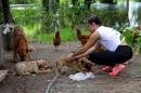 Inundaciones: Rescate animal y asistencia a familias evacuadas