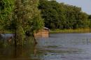 Inundaciones: Rescate animal y asistencia a familias evacuadas