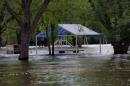 Inundaciones: Rescate animal y asistencia a familias evacuadas