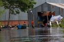 Inundaciones: Rescate animal y asistencia a familias evacuadas