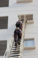 Simulacro de incendio en las Torres Copervi