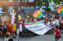 IX Marcha del Orgullo Disidente Chaco